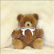 Teddy Bear on Bed