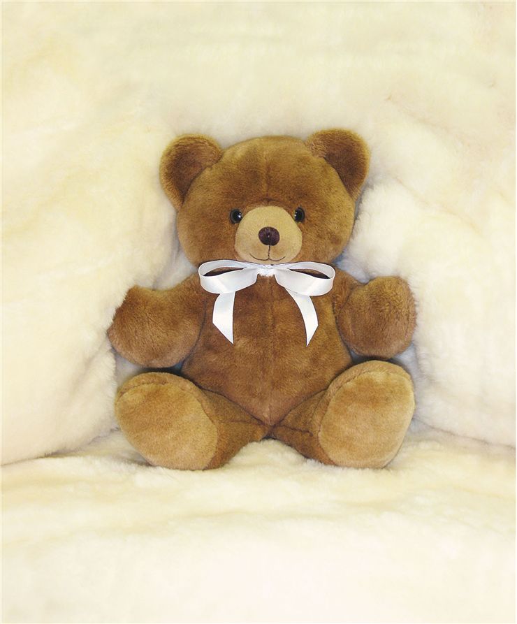 Teddy Bear on Bed